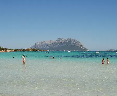 Pensionat Domus Regia 3*