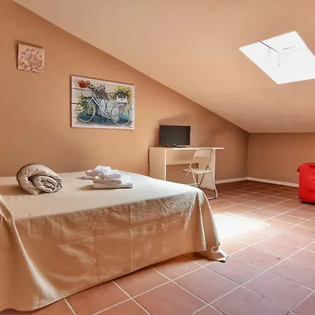 Domus Regia Pensionat Olbia