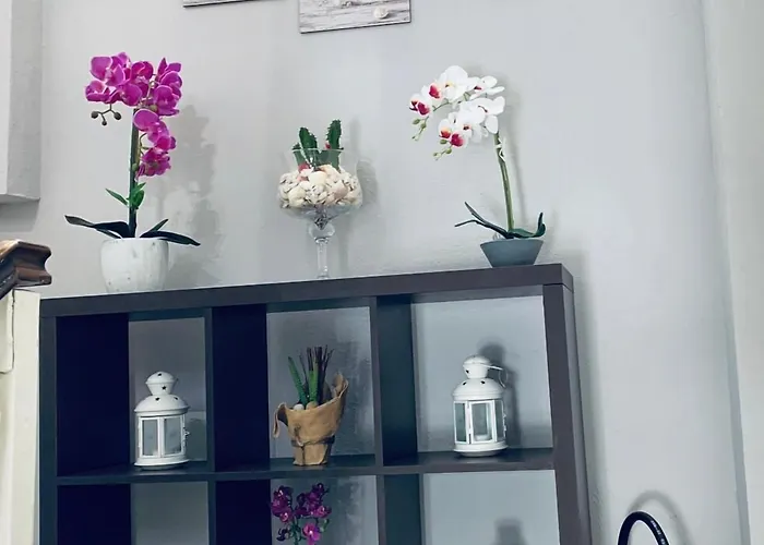 Domus Regia ゲストハウス 3*