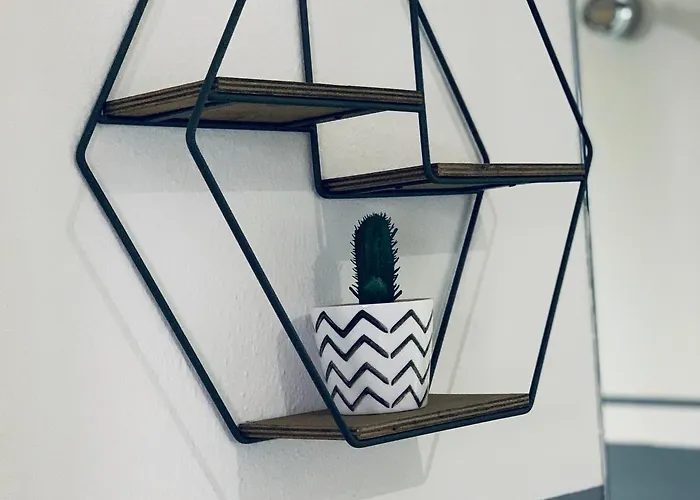 Domus Regia オルビア