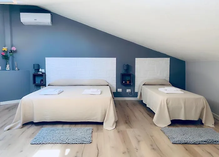 Domus Regia オルビア