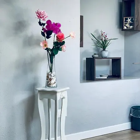 Domus Regia بيت ضيافة أولبيا